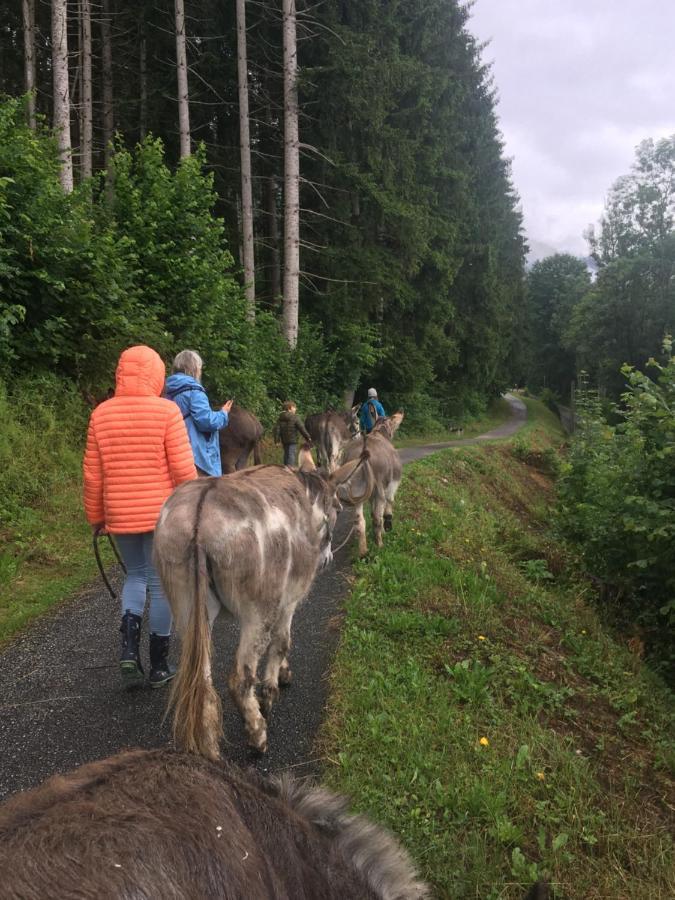Wengerwirt Zur Laube Weng im Gesause Exterior foto
