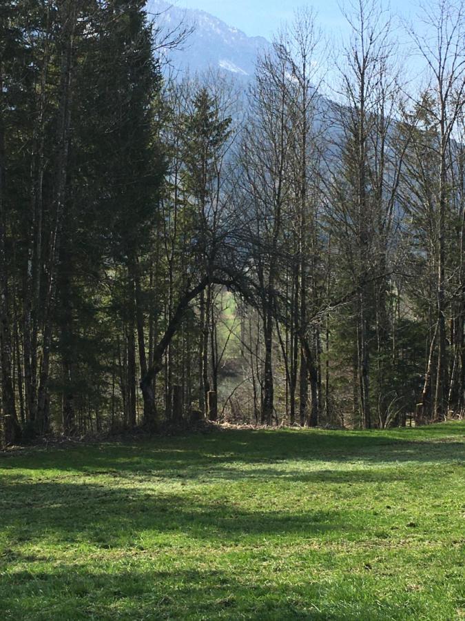 Wengerwirt Zur Laube Weng im Gesause Exterior foto