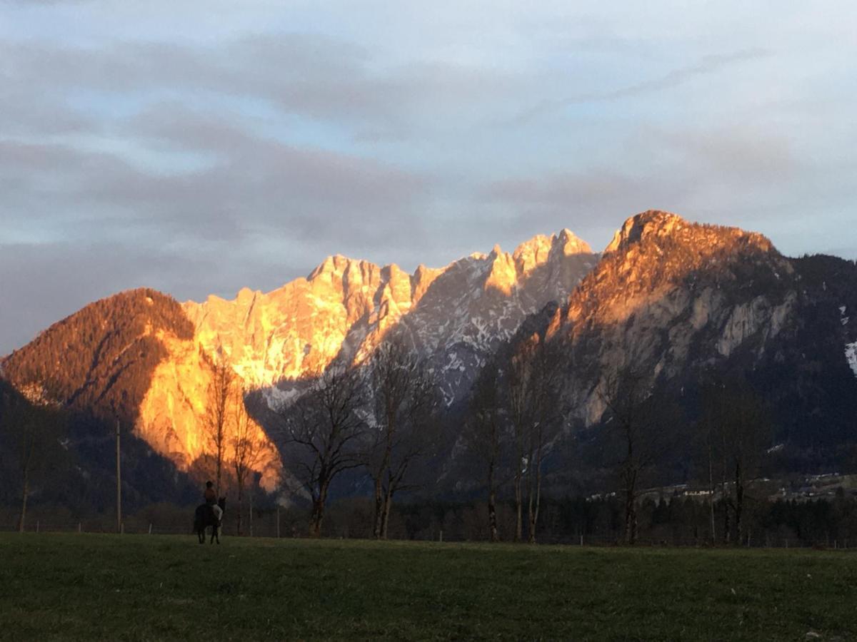 Wengerwirt Zur Laube Weng im Gesause Exterior foto