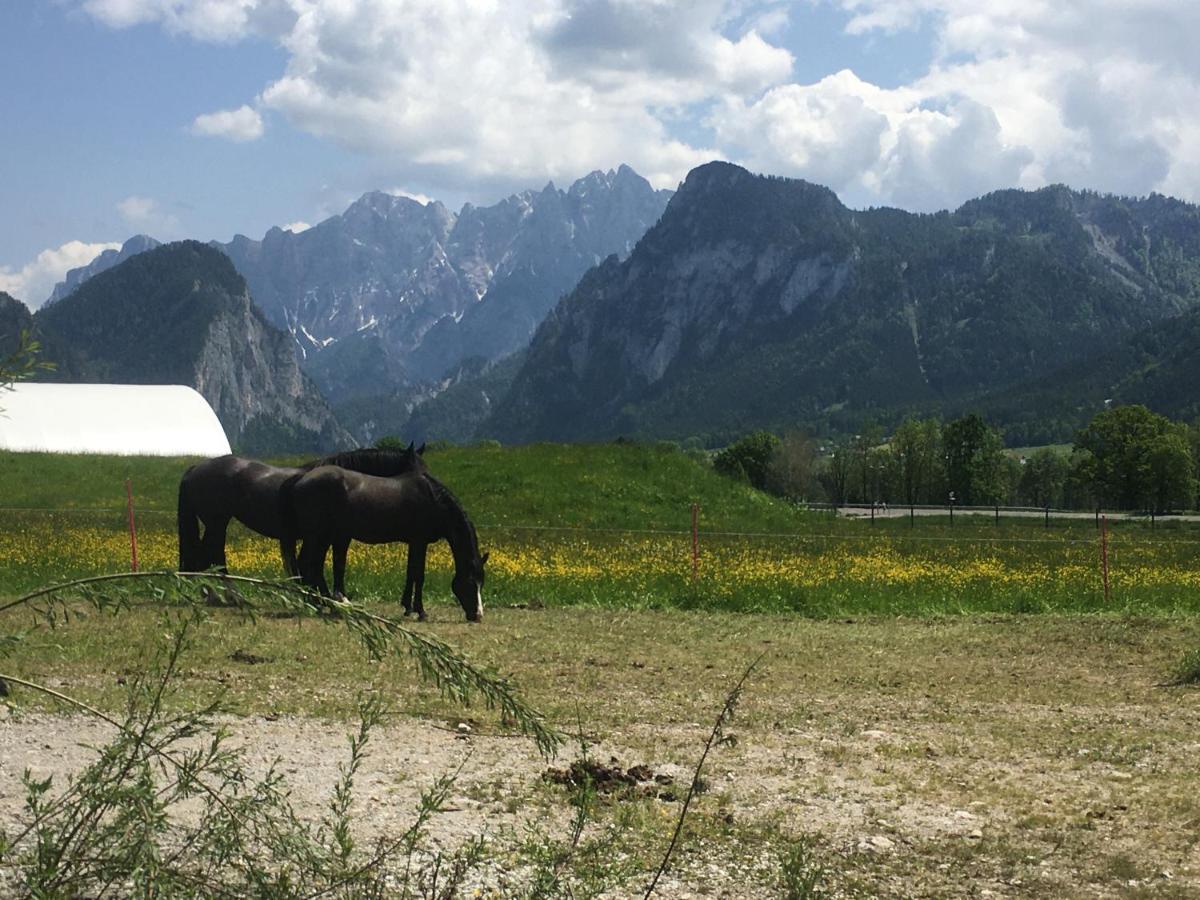 Wengerwirt Zur Laube Weng im Gesause Exterior foto