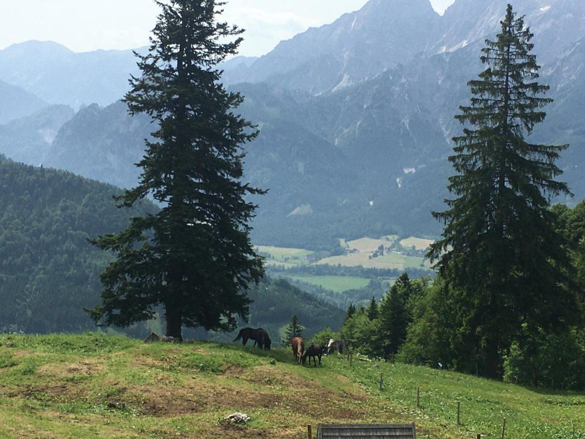 Wengerwirt Zur Laube Weng im Gesause Exterior foto