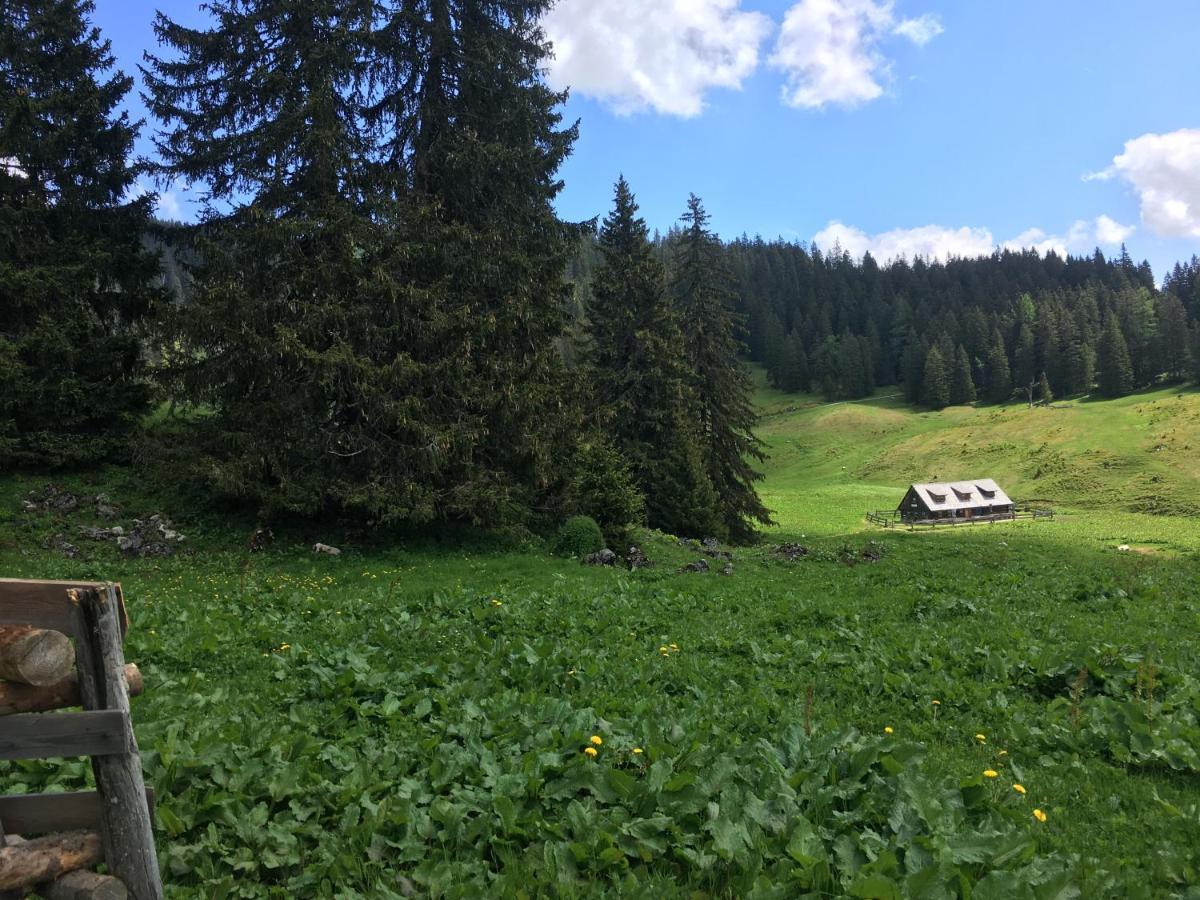 Wengerwirt Zur Laube Weng im Gesause Exterior foto