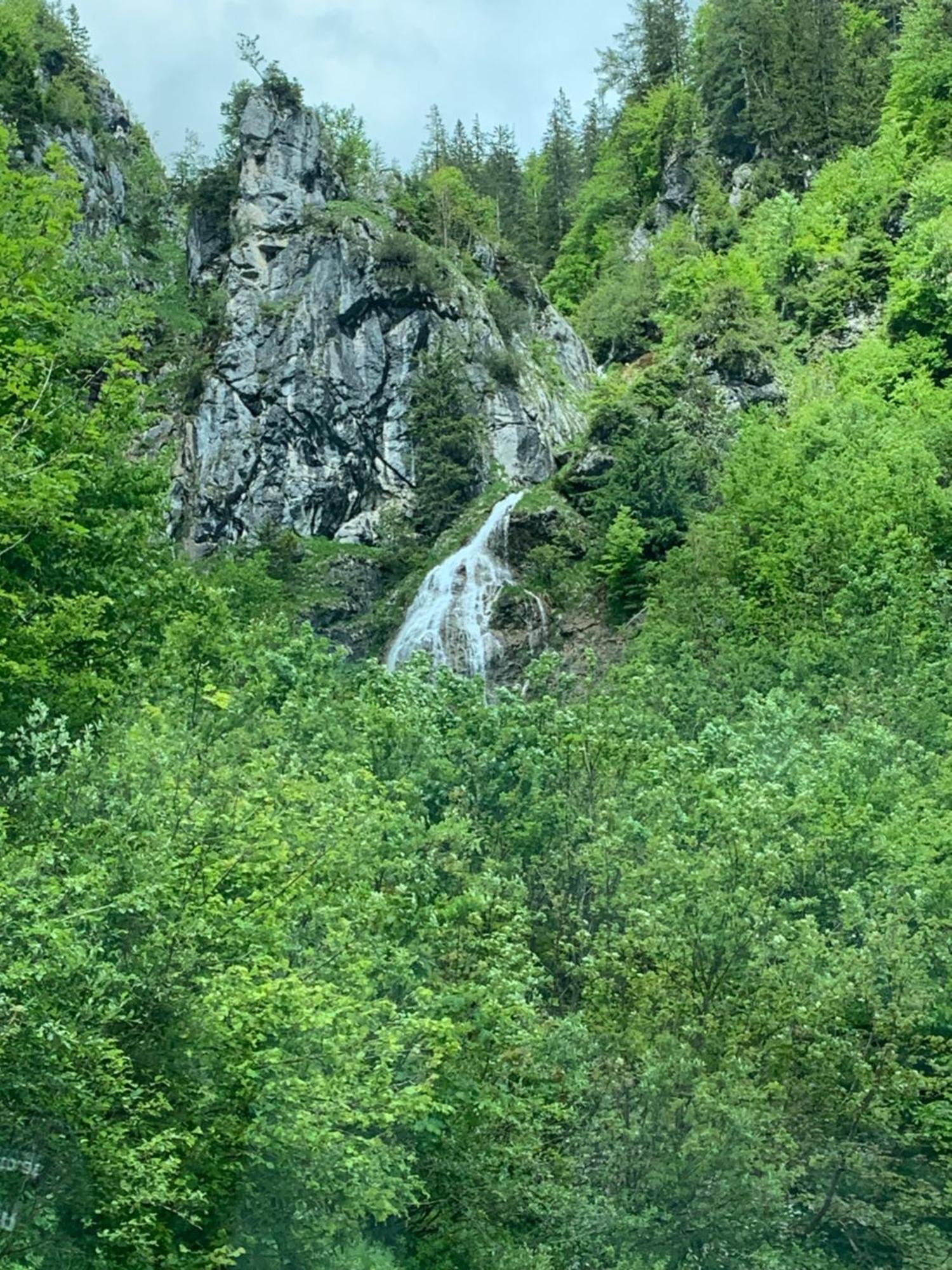 Wengerwirt Zur Laube Weng im Gesause Exterior foto