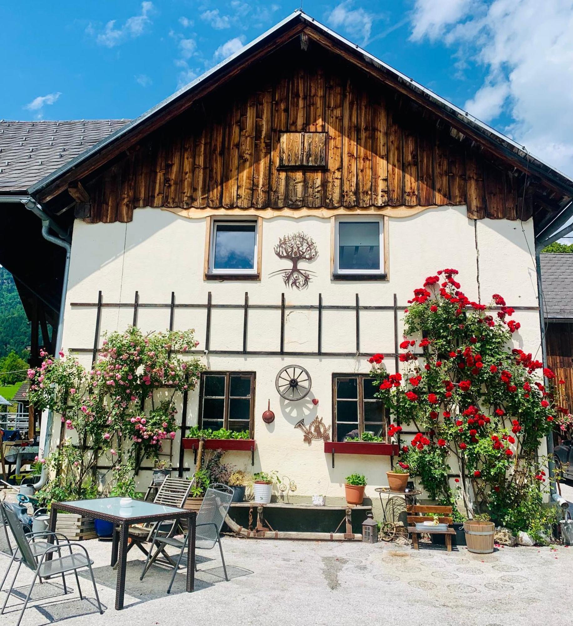 Wengerwirt Zur Laube Weng im Gesause Exterior foto
